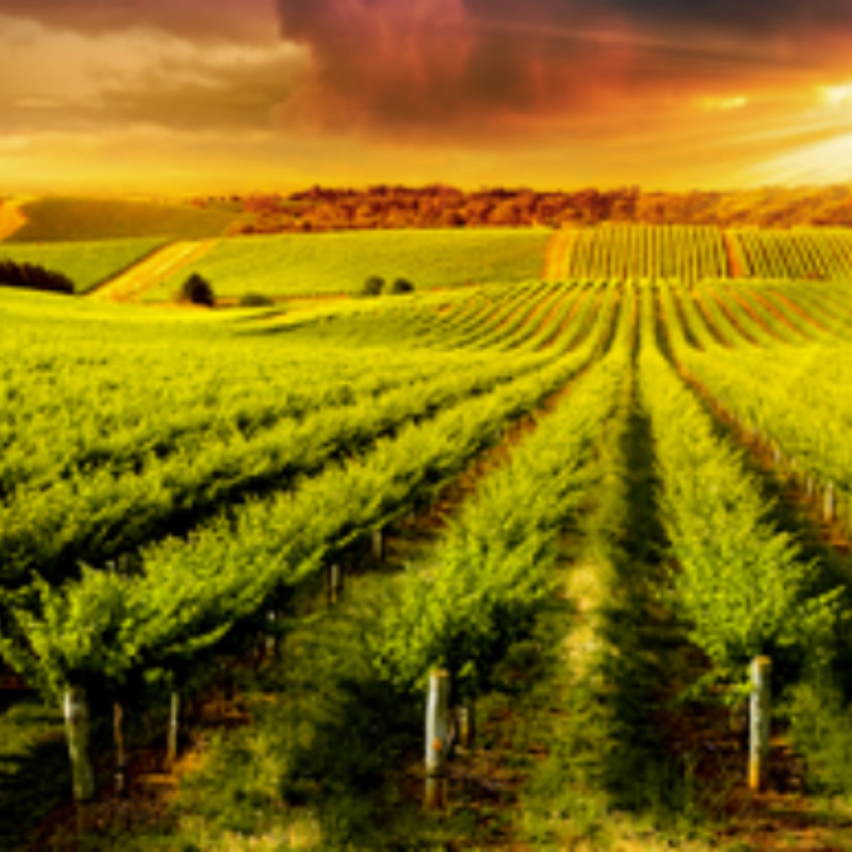 agricultural lending bank compliance