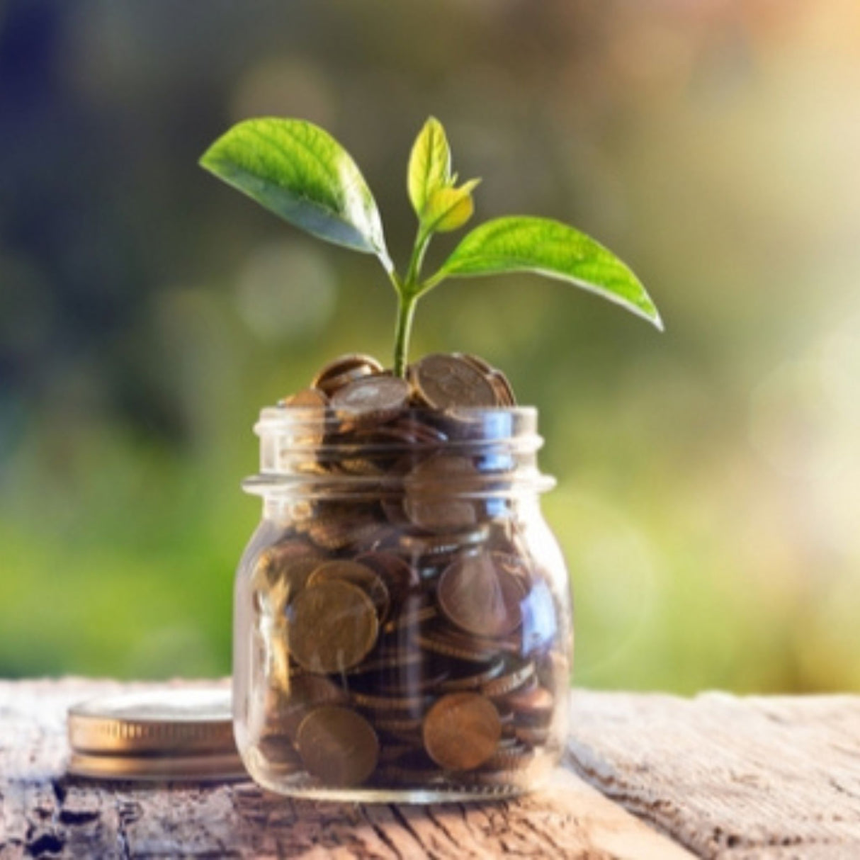 regulation dd savings compliance training