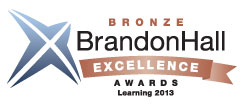 Brandon Hall Excellence Award Winner - Bronze