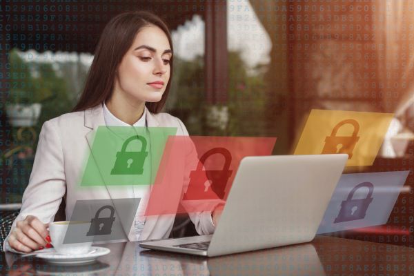 Federal Contractor Cybersecurity Vulnerability Act 2024