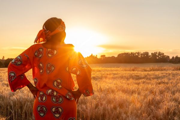 What is indigenous reconciliation?