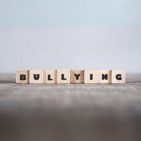 bullying safety