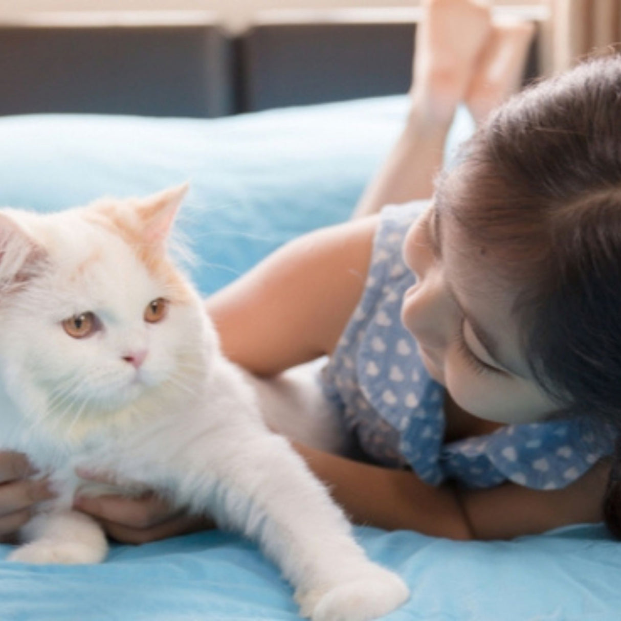 teach kids how to care for cat