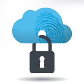 information security graphic