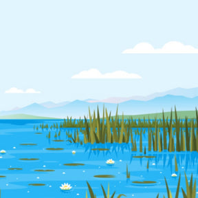 teach kids about freshwater biomes