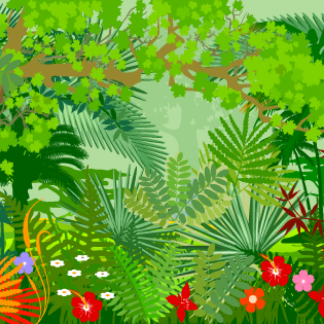 teach kids about rainforests