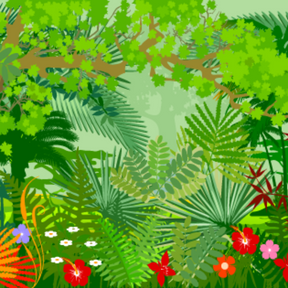 teach kids about rainforests