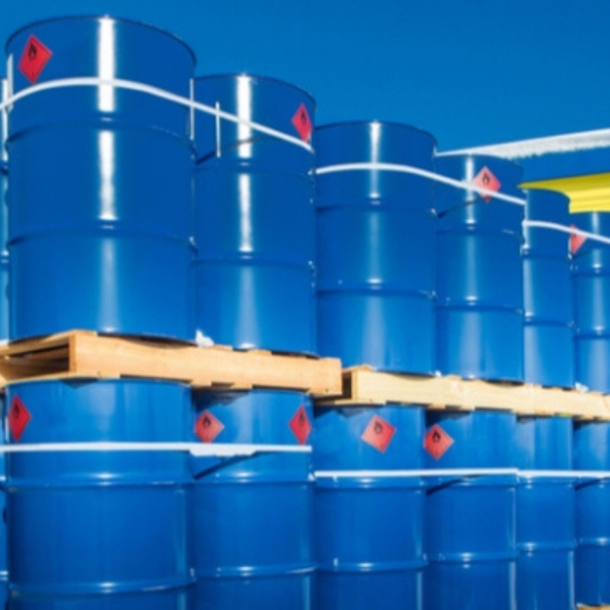 environmental impact training