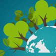 Illustration of trees and a mountain on a blue background