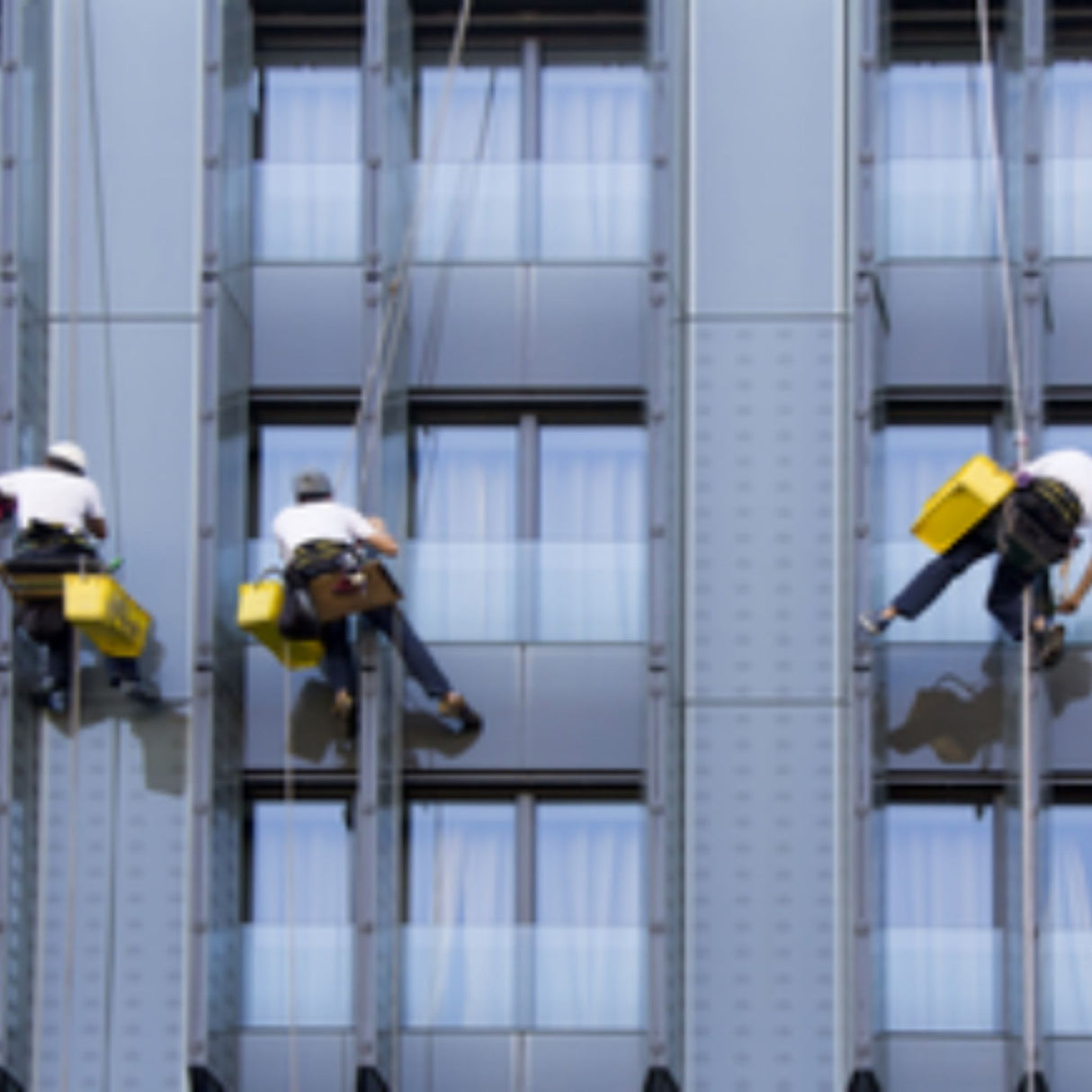 Three skyscrapper window cleaners