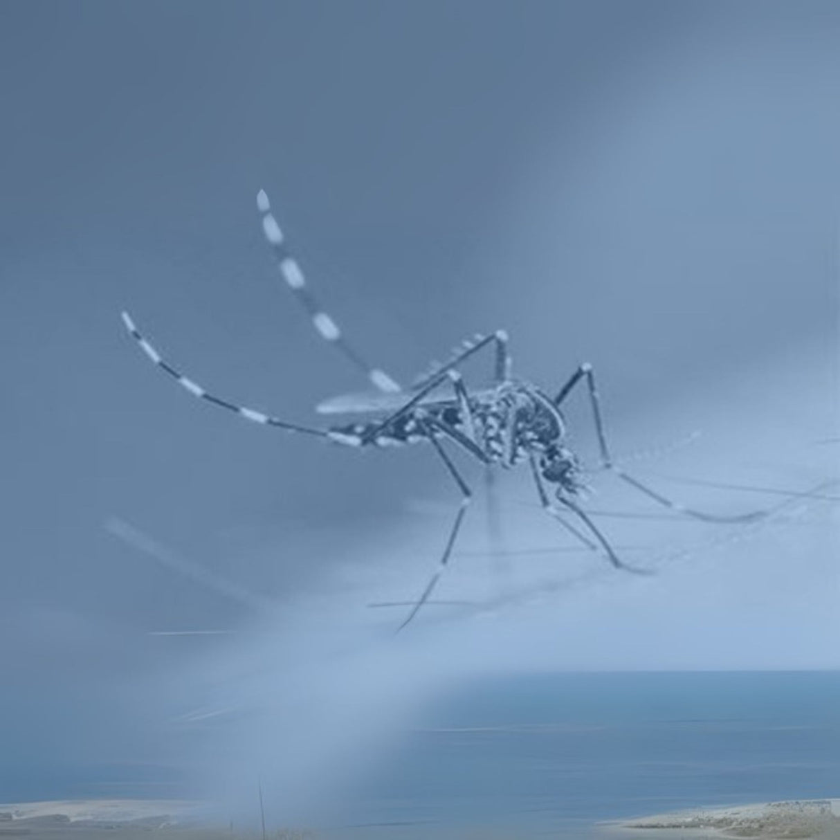 zika safety training