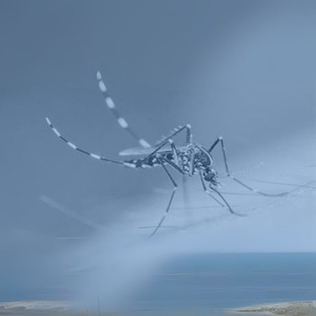 zika safety training