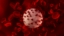 Safety from Bloodborne Pathogens for Retail Employees [Canada] Online Training Course