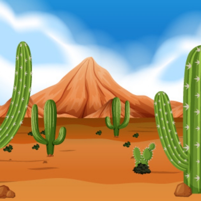 Our World: Desert Biomes Online Training Course