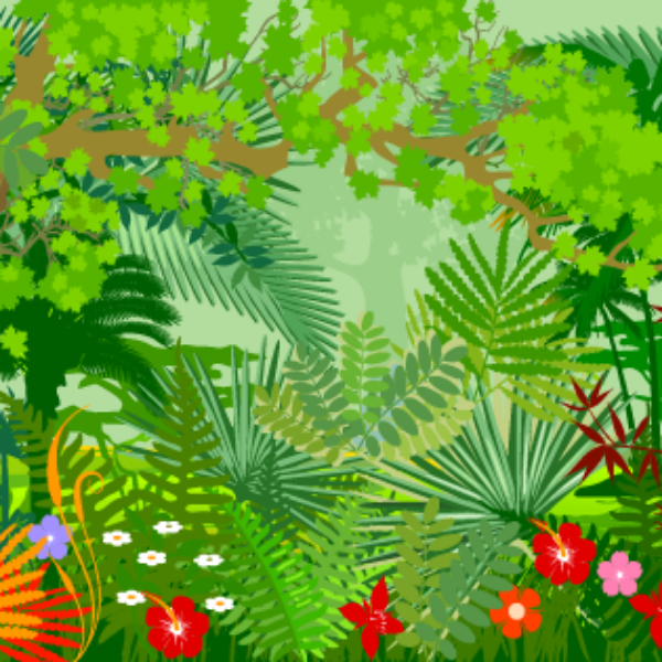 Our World: Rainforest Biomes Online Training Course