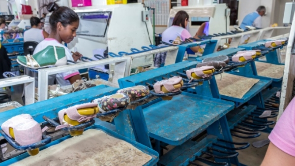 Recognizing Forced and Child Labour in the Supply Chain: Employee Overview Online Training Course